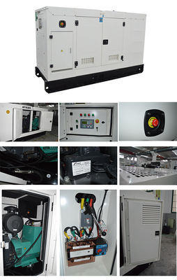 6Générateur silencieux de 25 KVA avec disjoncteur Delixi et 8 heures de fonctionnement à pleine charge pour une alimentation silencieuse